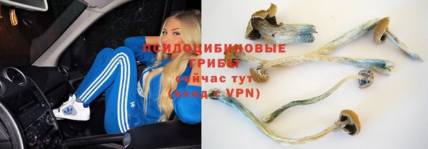 синтетический гашиш Володарск